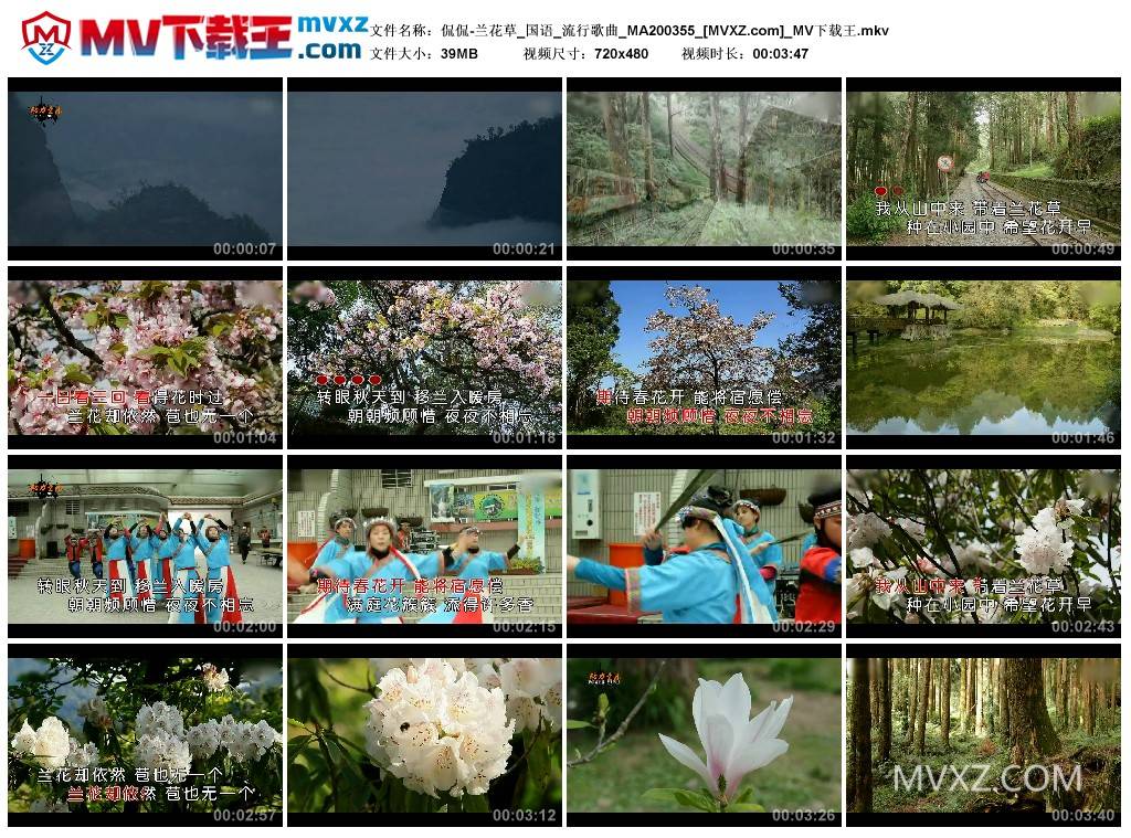 侃侃-兰花草_国语_流行歌曲_MA200355